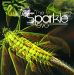 **Sparkle 2 Evo / Steam Key / РФ+МИР