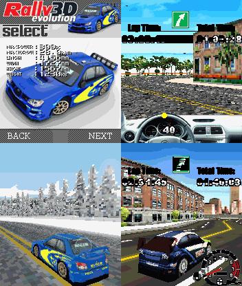 3D Rally Evolution.