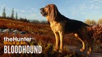 * theHunter: Call of the Wild - Bloodhound * Steam