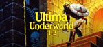 Ultima Underworld 1+2 GOG.COM KEY REGION FREE GLOBAL *