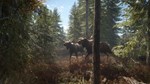 theHunter: Call of the Wild™ STEAM GIFT•RU**АВТО 0%