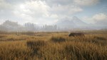 theHunter: Call of the Wild™ STEAM GIFT•RU**АВТО 0%