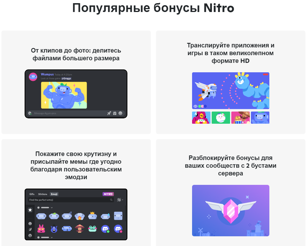 Plati discord nitro. Дискорд нитро. Discord Terria one year.