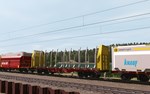 Trainz 2022 DLC - ProTrain Sggrrs InnoFreight