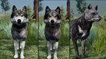 WolfQuest Anniversary - Building Character Pack DLC