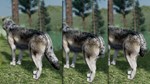 WolfQuest Anniversary - Building Character Pack DLC