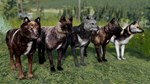 WolfQuest Anniversary - Building Character Pack DLC