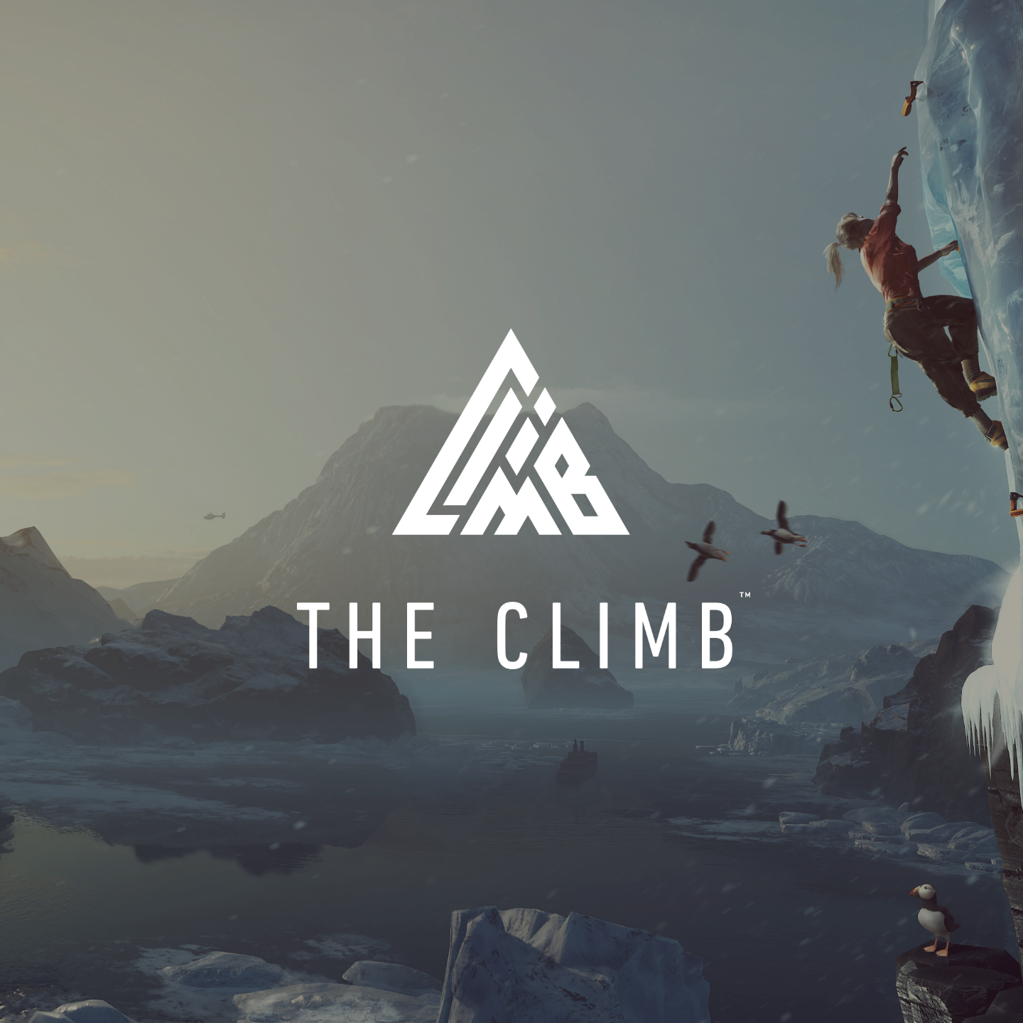 The climb vr steam фото 66