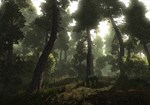 Risen | Steam Gift Россия