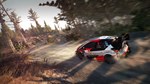 WRC 8 FIA World Rally Championship | Steam Gift Россия