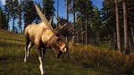 Way of the Hunter | Steam Gift Россия