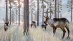 Planet Zoo: Arctic Pack DLC | Steam Gift Россия