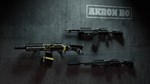 PAYDAY 2: McShay Weapon Pack 3*АВТОДОСТАВКА Steam RU