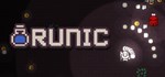 Runic Survivor*АВТОДОСТАВКА Steam Россия