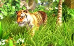 Wildlife Park 3*АВТОДОСТАВКА Steam Россия