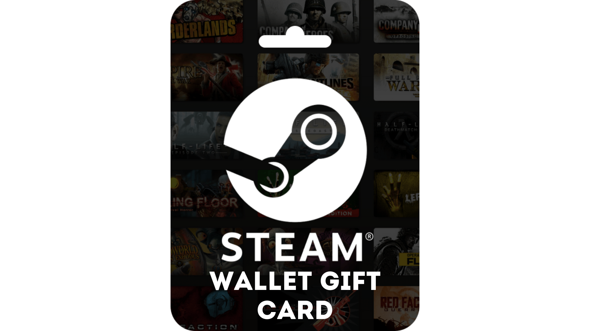 $100 steam wallet gift card