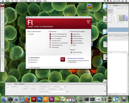 Adobe Flash CS создание анимационных Flash-файлов