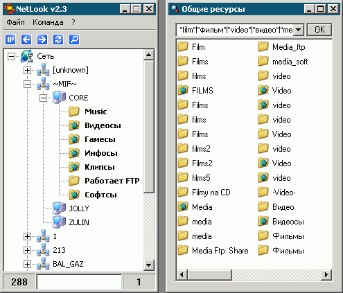 Сканер локальной сети Netlook 2.3 Rus + Crack