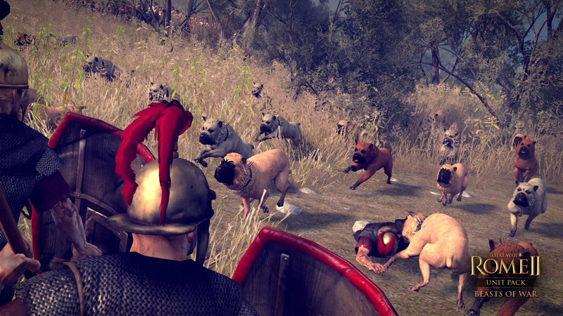 Total War: Rome II — Дополнение «Боевые животные»