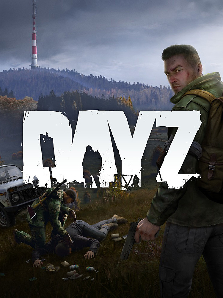 Dayz steam