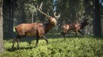 theHunter: Call of the Wild™ XBOX [ Игровой Ключ * ]