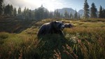 theHunter: Call of the Wild™ XBOX [ Игровой Ключ * ]