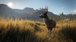 theHunter: Call of the Wild™ XBOX [ Игровой Ключ * ]