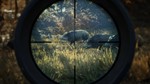 theHunter: Call of the Wild™ XBOX [ Игровой Ключ * ]