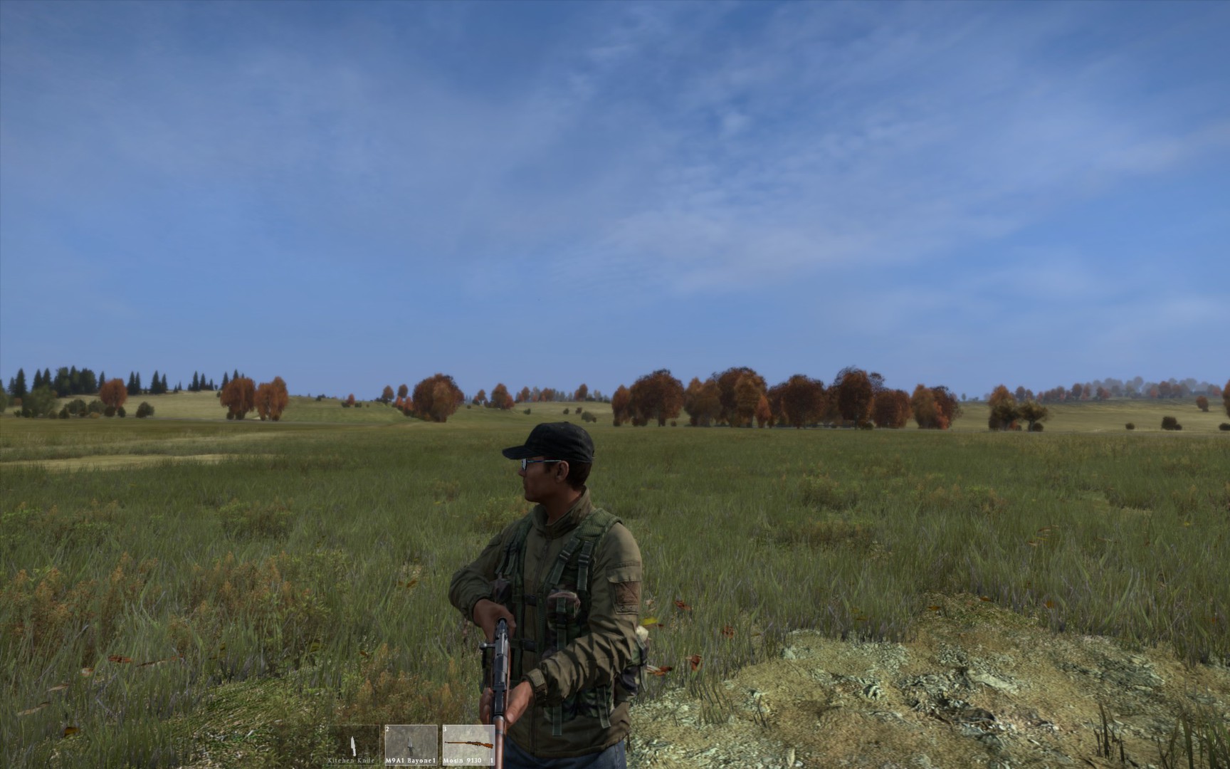 Dayz steam key фото 78