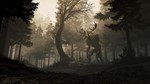 *  GREEDFALL *XBOX КЛЮЧ