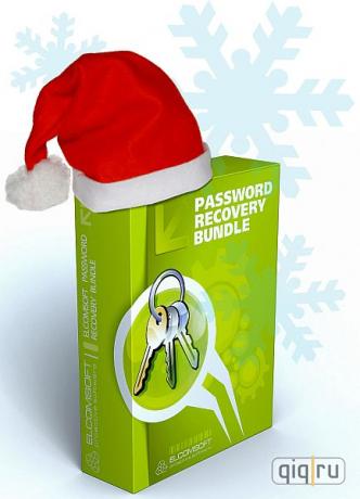 Password Recovery Bundle 2008 (EPRB 2008)