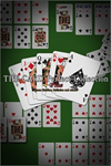 **THE CARD Perfect Collection Plus: Texas Hold  XBOX*