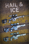 **Hail & Ice Skin Pack XBOX*DLC